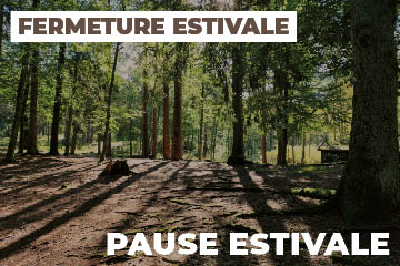 Betriebsferien Sommer 2026